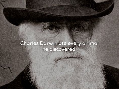 What The Fact, Unusual Facts, Neat Tricks, Creepy Facts, Creepy Stuff, You Dont Say, Something To Remember, Movie Lines, Charles Darwin