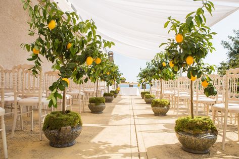 Lemon Aisle Decorations - ELLEDecor.com Lemon Themed Wedding, Wedding Cake Peonies, Lemon Invitations, Lemon Centerpieces, Temple Room, Bar Wedding Reception, Summer Wedding Ideas, Reception Bar, Sicily Wedding