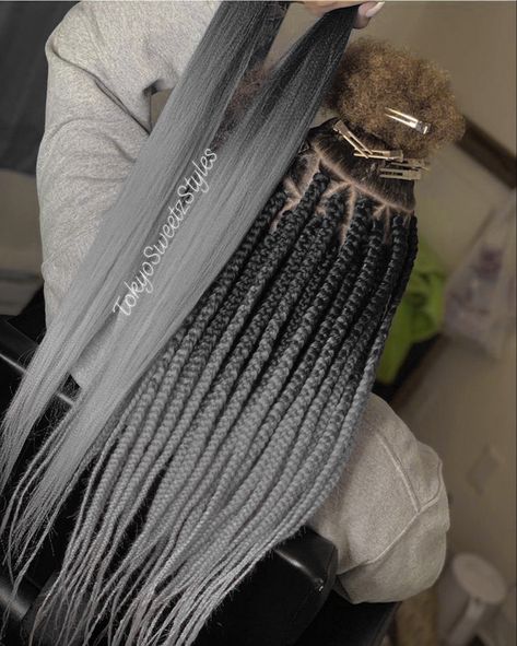 Grey And Black Braids Hairstyles, Box Braids With Grey Highlights, Black And Gray Box Braids, Grey Box Braids, Grey Hair Braids, Black Hair Protective Styles, Rasta Hair, Hair Braid Patterns, Black Box Braids