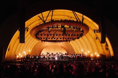 dear 13 year old laufey, you sold out the hollywood bowl!! 🤍 thank you all for the very best night of my life 😚 📷 @nicolemago Hollywood Bowl, The Hollywood Bowl, Best Night Of My Life, Haim, Of My Life, Year Old, My Life, San Francisco, Hollywood