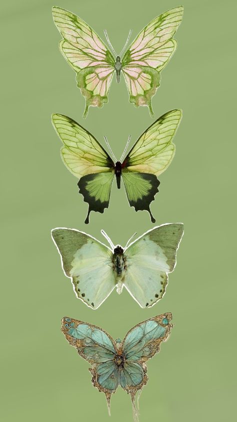 #Green #Butterfly #Aesthetic #Wallpaper #Background #Cute Green Buterfluffy, Fairy Green Aesthetic, Green Butterfly Background, Green Butterfly Aesthetic, Green Fairy Aesthetic, Emerald Green Butterfly, Butterfly Aesthetic Wallpaper, Light Green Butterfly, Fairy Wings Aesthetic