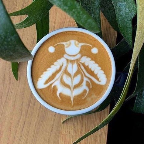 Is this a fly or a bee? ⁣ Did you join us for last night free Coffee Workshop? Scroll down at @on.coffee.makers (link) for more information. 😀☕😍⁣ ⁣ ⁣ Follow us @on.coffee.makers for many more free coffee workshops and great coffee deals. ⁣ ⁣ 📷: @marschall.arts/ Coffee Barista Art, Cappuccino Art, Coffee Artwork, Coffee Latte Art, Coffee Barista, Cafe Art, Pretty Drinks, Cafe Latte, Coffee Photography