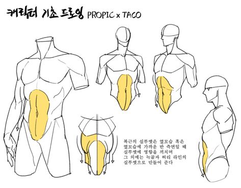 Point Character Drawing, Anatomy Reference Drawing, Muscles Drawing, Form Reference, Boys Drawing, Human Anatomy Drawing, Body Drawing Tutorial, Human Anatomy Art, Figure Reference