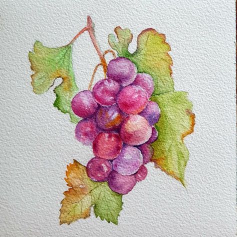 Grape Painting Easy, Watercolour Grapes, Grape Watercolor, Grapes Drawing, Watercolour Fruits, Grapes Watercolor, Watercolor Pumpkins Autumn, Grape Drawing, Grape Painting