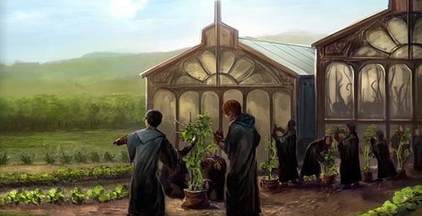 Herbology Classroom, Herbology Harry Potter, Harry Potter Wiki, Plant Study, Neville Longbottom, Small Greenhouse, Goblet Of Fire, Hogwarts Mystery, Chapter 16