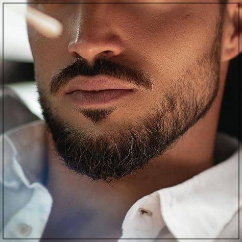 Professional Beard Styles, Modern Beard Styles, Popular Beard Styles, Groomed Beard, Professional Beard, Long Beard Styles, Long Beard, Grooming Tips, Beard Styles For Men