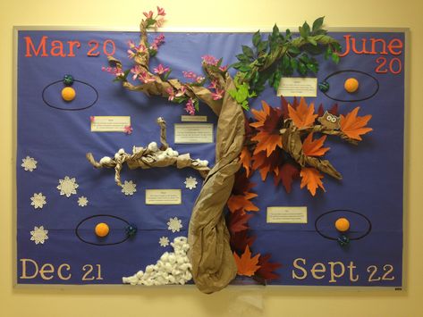 4 seasons bulletin board made by yours truly and 2 of my awesome classmates! Season Display Board Eyfs, 4 Seasons Bulletin Board Ideas, Weather Bulletin Board Kindergarten, Season Board Preschool, Four Seasons Bulletin Board Ideas, Seasons Display Eyfs, Fall Science Bulletin Boards, Seasons Board Preschool, Earth Science Bulletin Board Ideas