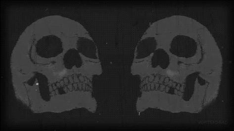 skull gif Skeleton Gif Banner, Goth Banners Discord Gif, Skull Banner Gif, Skeleton Banner Discord, Dark Discord Banners Gif, Skull Gif, Skull Banner, Creepy Gif, Scary Gif