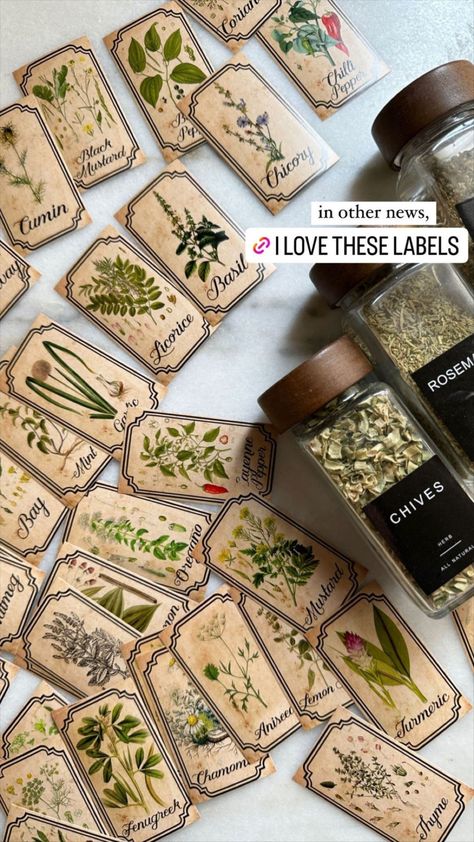 Labeling Ideas Organization, Apothecary Spice Jars, Aesthetic Spice Jars, Dried Herbs In Jars, Apothecary Label Design, Witch Herb Storage, Herb Shop Ideas, Apothecary Kitchen Decor, Herb Shop Aesthetic