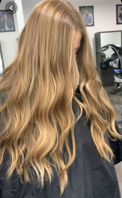 Hairstyles For All Hair Types, Warm Blonde Hair, Honey Blond, Honey Blonde Hair Color, Bombshell Hair, Summer Blonde Hair, Golden Blonde Hair, Vlasové Trendy, Dirty Blonde Hair