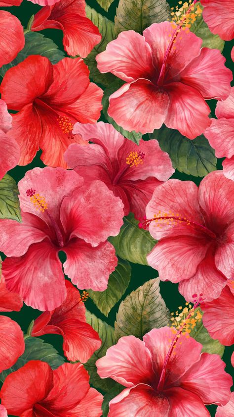 Hibiscus pattern and elements. Floral exotic clipart without background Wild Flower Print, Hibiscus Color Palette, Pink Hibiscus Flower Aesthetic, Habisquis Flower Wallpaper, Hibiscus Lockscreen, Wallpaper Hibiscus Flower, Hibiscus Wallpaper Iphone, Tropical Flower Background, Hibiscus Flower Background