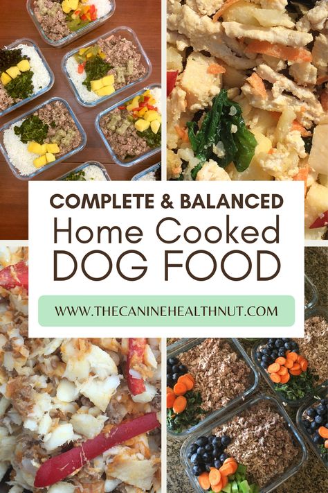 Make Your Own Dog Food Healthy, Table Food For Dogs, How Much Fresh Food To Feed Dog, Diy Dog Kibble, Just Food For Dogs Recipe, Home Cooked Dog Meals, How To Cook For Your Dog, Fresh Food Recipes For Dogs, Yorkie Dog Food Recipes