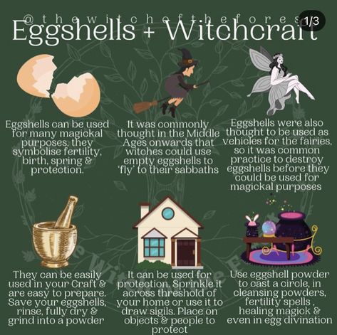 Egg Shell Uses, Chaos Magick, Hoodoo Spells, The Wasp, Wiccan Spell Book, Magick Book, Witchcraft Spell Books, Witch Spell Book, Witchcraft For Beginners