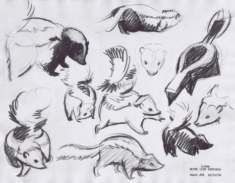 Skunk sketches for the development of Flower from Disney's Bambi How To Draw A Skunk, Skunk Illustration Cute, Skunk Character Design, Skunk Sketch, Cute Skunk Drawing, Bambi Skunk, Skunk Character, Skunk Illustration, Pet Reference