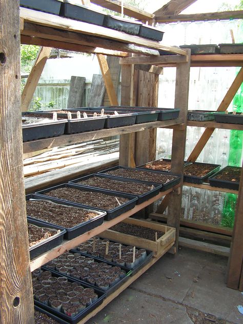 Allotment Planning, Serre Diy, Greenhouse Shelves, Greenhouse Farming, Diy Greenhouse Plans, Greenhouse Shed, Greenhouse Interiors, Home Greenhouse, Greenhouse Ideas