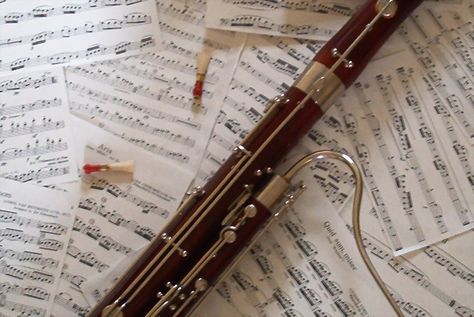 Basson Aesthetic, Basson Instrument, Bassoon Aesthetic, Instrument Wallpaper, Bassoon Music, Band Nerd, Band Geek, Music Collage, Band Kid