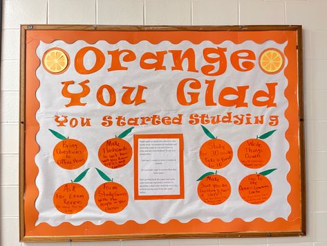 Meet The Staff Bulletin Board Ideas Office, Funny Fall Bulletin Board Ideas, Study Bulletin Board, Finals Study Tips, Resident Assistant Programs, Finals Study, Residence Life Bulletin Boards, Staff Bulletin Boards, Dorm Bulletin Boards