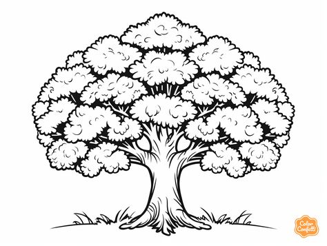 illustration of Oak tree coloring adventure Oak Tree Drawings, Tree Line Drawing, Mandala Turtle, Tree Coloring, Majestic Tree, Tree Doodle, Tree Coloring Page, Heaven Art, Detailed Coloring Pages