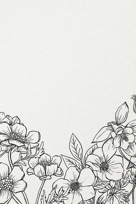 Floral hand drawn background, minimal line art in black and white border | premium image by rawpixel.com / Aum Minimal Border Design, Black And White Flower Illustration, Nature Cover Photo, Black And White Flower Background, Black And White Floral Background, Nature Line Art, Wildflower Border, Black And White Border, Art In Black And White