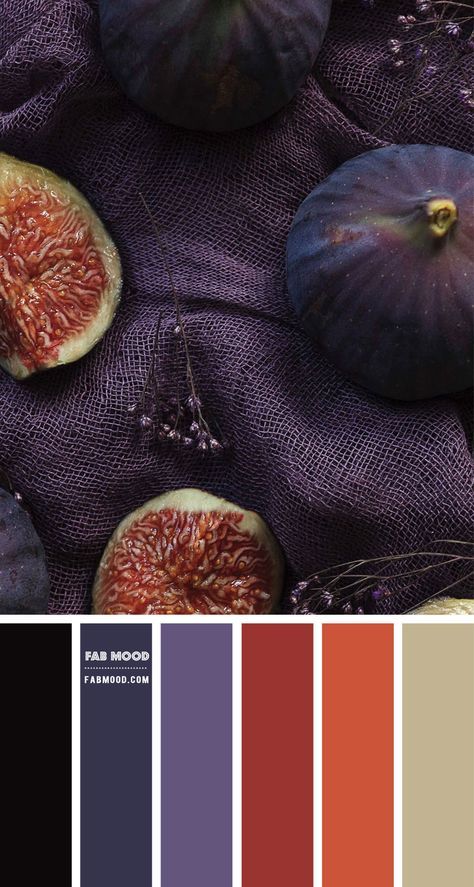 autumn color palette, fall color palette, fig color palette, purple color scheme, plum color scheme Purple And Copper Color Palette, Opulent Colour Palette, Copper Palette Color Combos, Figs Color Palette, Plum Complementary Color, Plum Color Combinations, Fig Color Palette, Plum Colour Palette, Color Palette With Purple