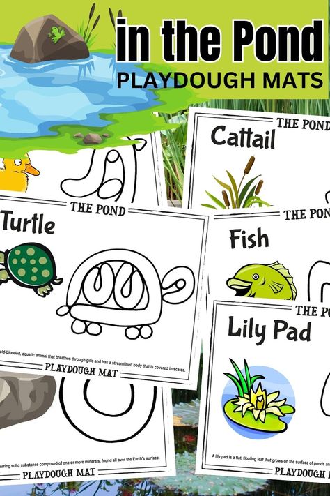 Ponds Preschool Activities, Pond Preschool, Pond Life Preschool Crafts, Pond Theme Preschool, Preschool Pond Activities, Pond Activities, Pond Activities Preschool, Pond Life Theme For Preschool, Pond Life Preschool Activities