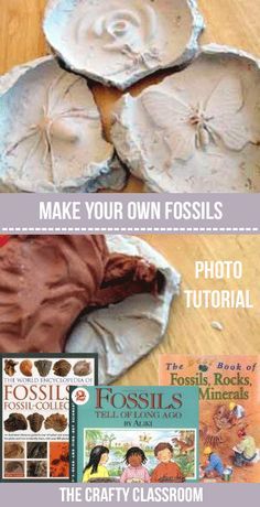 Make Your Own Fossils.  Complete photo tutorial to make your own fossil records. (Not as messy as you think!) How To Make Fossils, Making Fossils With Kids, Fossil Project, Making Fossils, Make Dinosaur Fossils, Fossil Craft, Fossils Activities, Archaeology For Kids, Diy Dinosaur