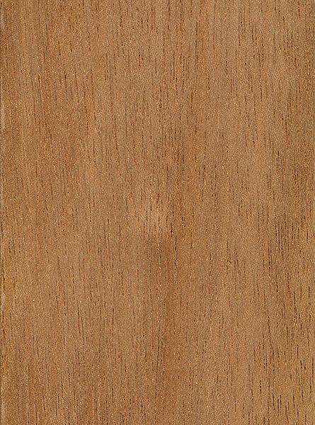 Light Wood Texture Seamless, Light Wooden Texture Seamless, Wood Panel Texture, Dark Wooden Laminate Texture, Walnut Wood Texture Seamless, Wood Lumber, Light Brown Wood Texture Seamless, Hardwood Lumber, General Construction