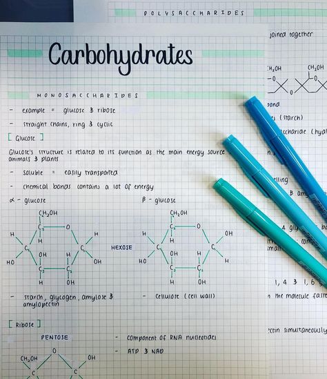 Biochemistry Aesthetic Notes, Nutrition Student Notes, Carbohydrates Notes Biology, Nutrition Study Notes, Biochemistry Notes Carbohydrates, Nutrition Notes Aesthetic, Carbohydrates Notes, Science Witch, Basic Microbiology