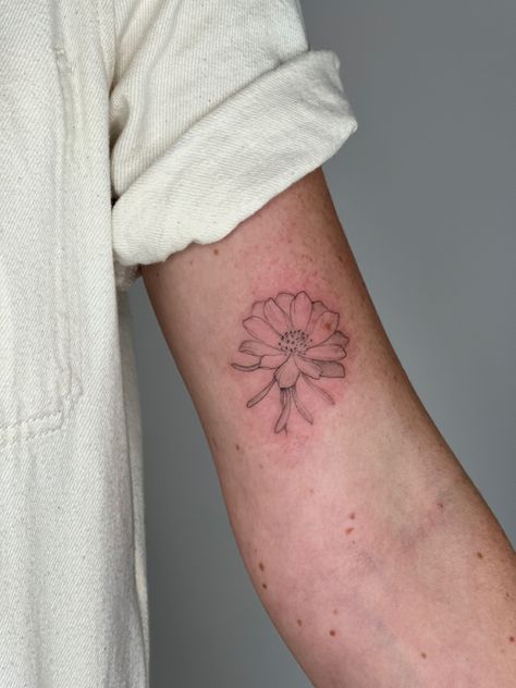 Montana State Flower Tattoo, Montana Flower Tattoo, Montana Tattoo For Women, Bitterroot Flower Tattoo, Montana Tattoos, Montana Tattoo Ideas, Bitterroot Flower, Montana Tattoo, Flower Tattoo Designs