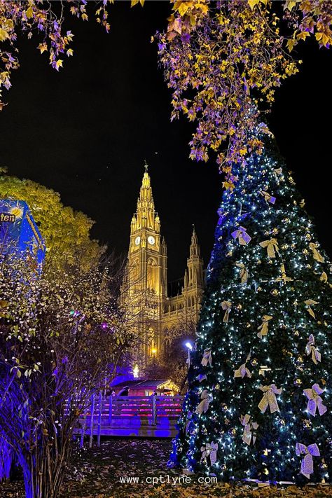 Beautiful and magical Christmas Markets in Vienna that you must add to your list of places to visit in Europe for your next Christmas vacation. / Vienna aesthetic / vienna winter / travel guide vienna winter / vienna Christmas market aesthetic / vienna Christmas market photo / vienna Christmas market food / vienna Christmas Instagram / Christmas vienna austria / rathaus wien / rathaus wien Christmas market / Christmas aesthetic Vienna Winter Aesthetic, Vienna Christmas Aesthetic, Vienna Austria Christmas, Wien Christmas, Christmas Market Aesthetic, Germany Market, Vienna Austria Aesthetic, Winter Vienna, Wien Aesthetic