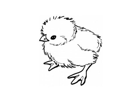 Chick Coloring Page - Best Coloring Pages For Kids Chicken Coloring Pages, Chicken Tattoo, Chicken Coloring, Chicken Drawing, Baby Chickens, Baby Chick, Cute Chickens, Chicken Art, Coloring Pages For Girls