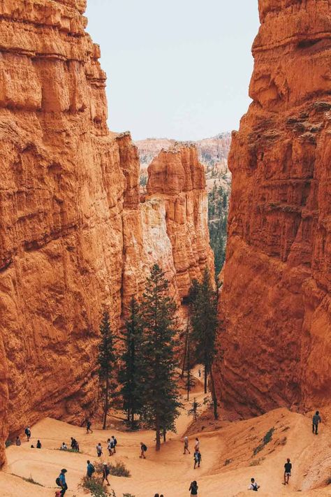 Navajo Loop Trail at Bryce Canyon National Park (What you Need to Know) Bryce Canyon Hikes, Grand Canyon Helicopter, Thelma Et Louise, National Parks Photography, Have Inspiration, Bryce Canyon National Park, Helicopter Tour, Destination Voyage, National Parks Trip