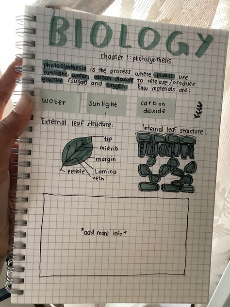 Biology Notes Aesthetic Photosynthesis, Leaf Structure Biology Notes, Notes Idea, Leaf Structure, College Student Hacks, Student Hacks, Biology Notes, Meant To Be Quotes, Carbon Dioxide