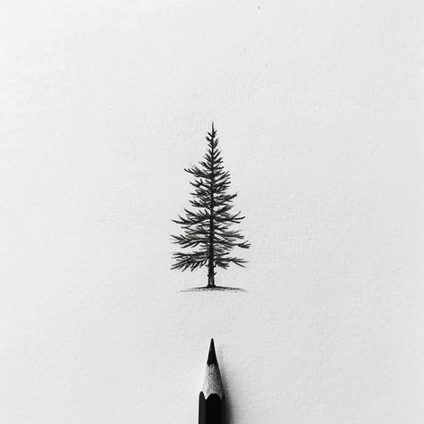 Discover the sublime elegance captured in this intricate pine tree sketch. A symbol of eternal life and unwavering growth, this piece embodies resilience. 🌲 Save & follow for endless inspiration. The artistry in the fine lines and subtle shading effortlessly brings nature's tranquility to life. Perfect for those seeking a touch of serene beauty. #NatureArt #PineTreeSketch #EternalGrowth #ArtInspiration #FollowForMore #SaveThisPin #AIimage Tree Stencil Tattoo, Tree Tattoo Sketch, Pine Tattoo Design, Nature Drawing Simple, Wa State Tattoo, Pine Tree Tattoo Drawing, Pine Tree Outline Tattoo, Tree And Birds Tattoo, Fir Tree Tattoos