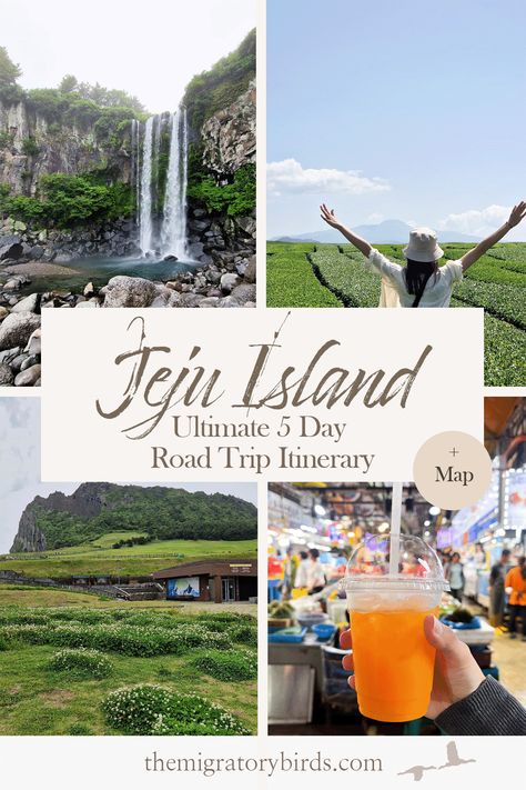 In this post we share what we consider our ultimate 5-day Jeju island itinerary! This itinerary includes our top-pics of things to see and do, where to stay as well as some recommendations of where to eat while on Jeju island! Find all our recommendations in a day-by-day itinerary as well as on a map to better visualize your route! #jejuisland #jejuitinerary #jeju5days Jeju Island Itinerary, Jeju Island Photography, Seogwipo Jeju, Jeju Island Waterfall, Jeju Island South Korea Beach, South Korea Travel, Jeju Island, Road Trip Adventure, Korea Travel