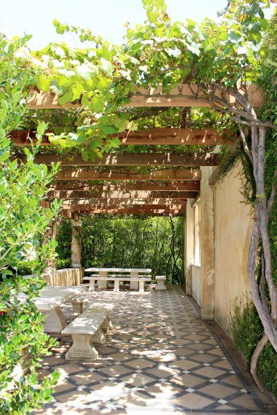 Vine Plants As Shade Cover: Creating Shade With Vining Plants - Trees are not the only plants that can be used to shade hot, sunny areas in the summer. Structures like pergolas, arbors and green tunnels have been used for centuries to hold up vines that create shade. Learn about using vine plants as shade cover here. Pergola Modern, Diy Patio Cover, Cheap Pergola, Backyard Shade, Building A Pergola, Gravel Path, Pergola Design, Garden Vines, Patio Cover