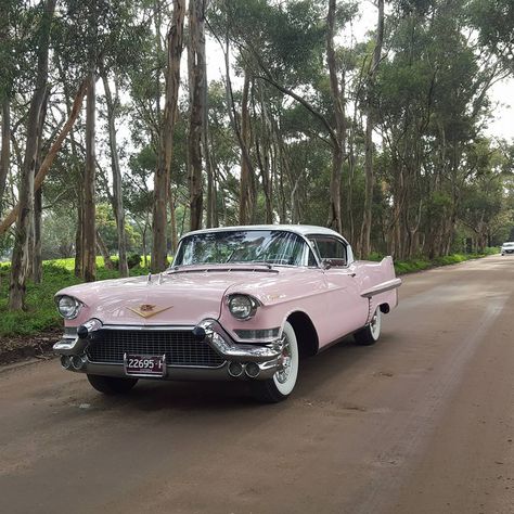 1957 Cadillac Coupe deVille Pink Cadallic Aesthetic, 1959 Pink Cadillac, Vintage Cars 1950s, 60s Cars, Cadillac Coupe Deville, Old American Cars, Coupe Deville, 1959 Cadillac, Old Vintage Cars