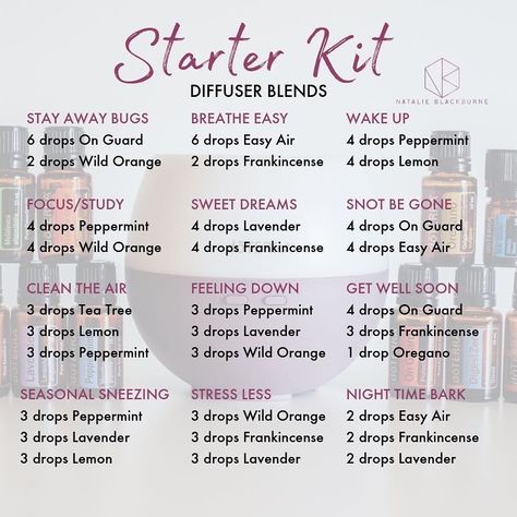 Basic Diffuser Blends, Study Essential Oil Blend, Basic Essential Oil Blends For Diffuser, Basic Essential Oil Blends, Essential Oil Perfume Blends, Perfume Blends, Essential Oil Combinations, Essential Oil Diffuser Blends Recipes, Essential Oil Remedy