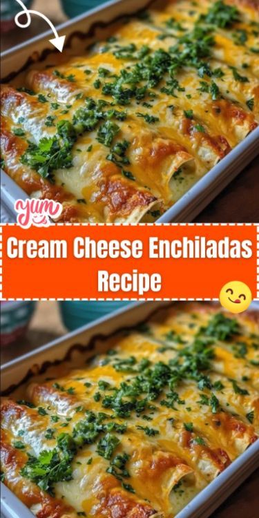 Cream Cheese Enchiladas are a creamy and flavorful twist on traditional enchiladas. Filled with a rich mixture of cream cheese, shredded chicken, and Mexican cheese, and topped with a smooth and savory sauce, these enchiladas are perfect for a comforting and satisfying meal. They’re great for family dinners, gatherings, or whenever you’re in the mood for a delicious Mexican-inspired dish. Sour Cream Cheese Enchiladas, Can Chicken Enchiladas, Cream Cheese Enchiladas Chicken Easy, Cream Cheese Enchiladas Chicken, Chicken Enchiladas With Cream Cheese, Cheese Enchiladas With Red Sauce, Cheese And Onion Enchiladas, Cheese Enchilada Recipe, Best Chicken Enchiladas Ever