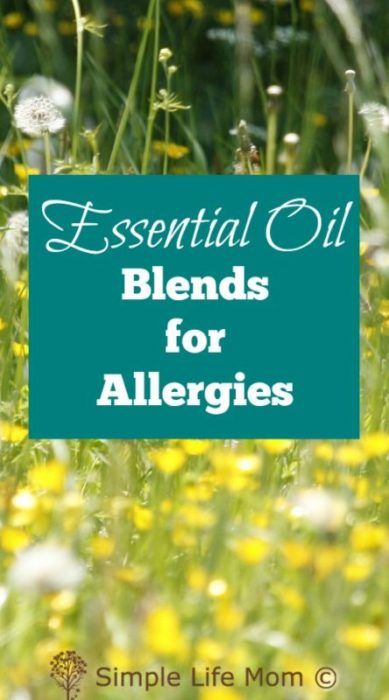 Essential Oil Blends for Allergies with peppermint, eucalyptus, bergamot, lemon, and other natural oils to help give allergy relief by Simple Life Mom Allergy Essential Oil Blend, Allergy Relief Essential Oils, Essential Oils For Allergies, Oils For Allergies, Essential Oils Allergies, Autogenic Training, Natural Allergy Relief, Natural Asthma Remedies, Peppermint Eucalyptus