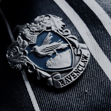 Luna Lovegood Harry Potter, Louis Weasley, Ravenclaw Pride, Cho Chang, Ravenclaw Aesthetic, Neville Longbottom, Harry Potter Ravenclaw, Harry Potter Houses, Hogwarts Aesthetic