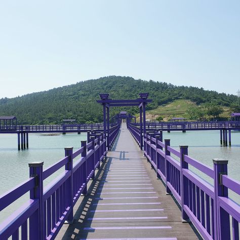 15 Quaint International Islands To Explore In 2022 Purple Island, Mokpo, Seoul Korea Travel, White Island, Belize City, Kangaroo Island, Adventure Travel Explore, Reunion Island, Bridge Design