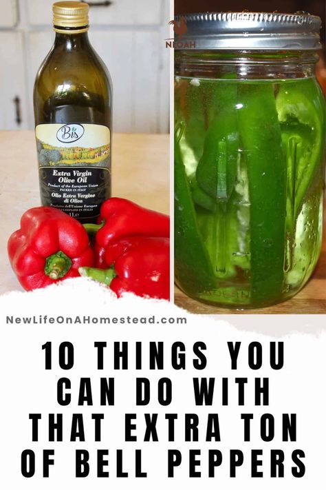 Peppers can be tricky and temperamental to grow, but sometimes things go too well! Learn what to do with extra peppers. #gardening #harvest #kitchen Canning Bell Peppers, Peppers Gardening, Preserving Peppers, Low Acid Recipes, Harvest Kitchen, Organic Gardening Tips, Roasted Peppers, Snack Tray, Most Popular Recipes