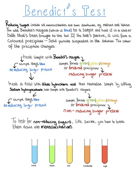 A-Level Biology revision on the Benedict’s Test for reducing and non-reducing sugars. Biology Revision Gcse, A Level Biology Notes, Alevel Biology, A Level Chemistry Notes, A Level Biology Revision, Biochemistry Notes, Science Revision, Biology Revision, Study Chemistry