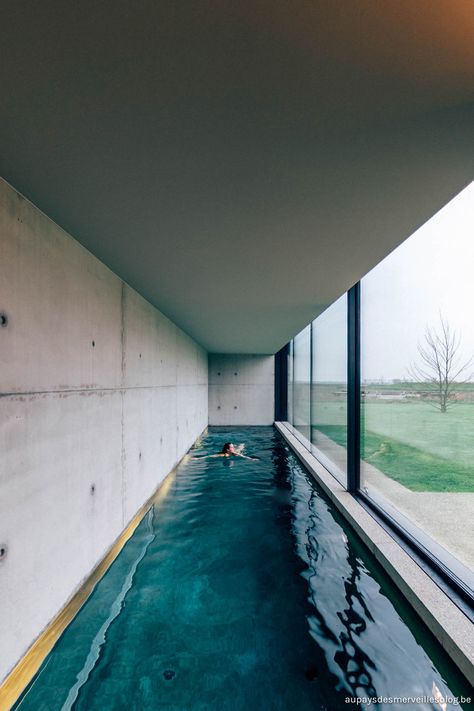 B&B The Bunkers in Knokke-Heist - Hannelore Veelaert for au pays des merveilles Lap Pool Indoor, Indoor Swimming Pools Home, Indoor Lap Pool, Indoor Pool Ideas, Interior Pool, Pool Architecture, Piscina Rectangular, Indoor Pool House, Indoor Swimming Pool Design