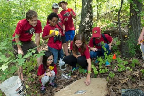 The Bronx Zoo, Central Park Zoo, New York Aquarium, Prospect Park Zoo, and Queens Zoo offer a variety of field trip and outreach experiences to meet the needs of the growing, diverse cross-section of New York Metro Area school children.   K12 Academics Profile: https://www.k12academics.com/national-directories/school-field-trips/wildlife-conservation-society-zoos-aquarium  Website: https://www.wcs.org/parks Central Park Zoo, School Field, Bronx Zoo, School Field Trip, Prospect Park, Field Trips, School Trip, School Children, Wildlife Conservation