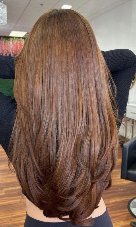 Solid Auburn Hair Color, Orange Ish Brown Hair, Ginger Tinted Hair, Light Brown Cinnamon Hair Color, Copper Ashy Hair, Sugar Brown Hair, Pelo Color Chocolate Claro, Amber Brown Hair With Highlights, Orangey Brown Hair