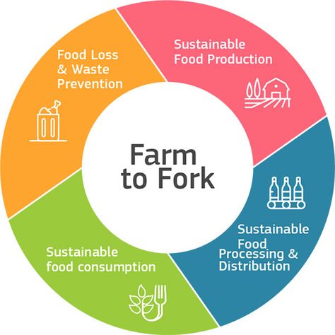 What Is Food, Food Sustainability, Valentines Food Dinner, Farm To Fork, Sustainable Food Systems, Bowl Party Food, Easy Dinner Recipes Crockpot, Food Infographic, Superbowl Party Food