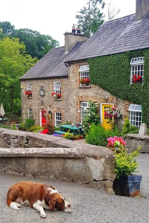 Ireland Aesthetic Irish Cottage, Ireland Houses, Ireland Tattoo, Ireland Aesthetic, Ireland Cottage, Ireland Photography, Irish Cottage, Ireland Landscape, Galway Ireland