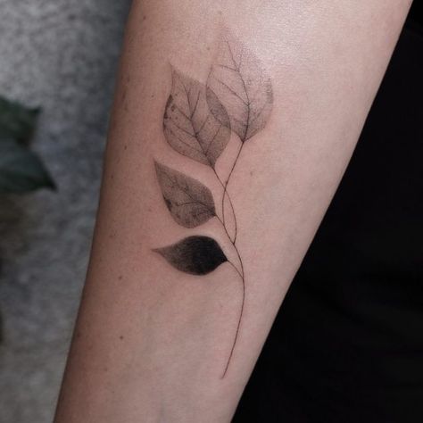 Black And White Cover Up Tattoo Ideas, Botanical Tattoo Cover Up, Minimal Leaf Tattoo, Leaf Plant Tattoo, Mimosa Tree Tattoo, Leaf Cover Up Tattoo, Basic Flower Tattoo, Bodhi Leaf Tattoo, Tattoo Ideas Leaf